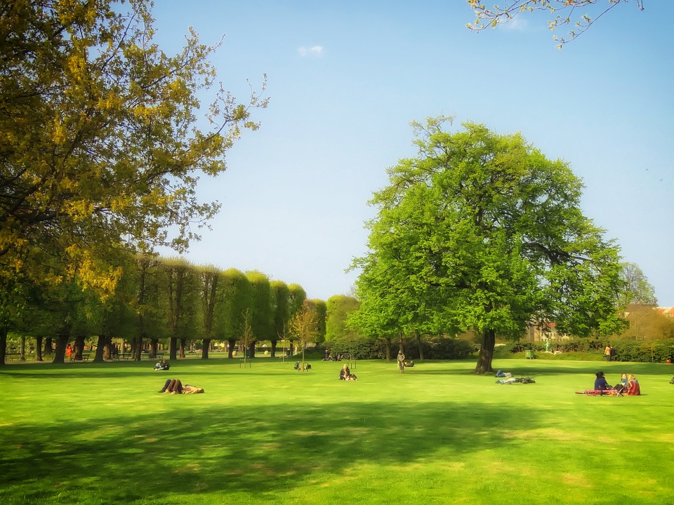 Parco_Pubblico_2